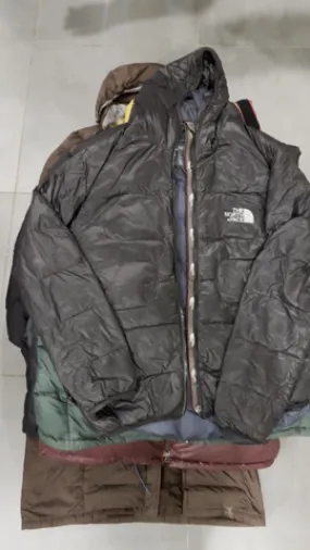 The northface puffer jackets (600,700,800)